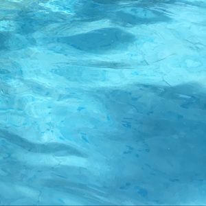 Meet your Posher, Treen